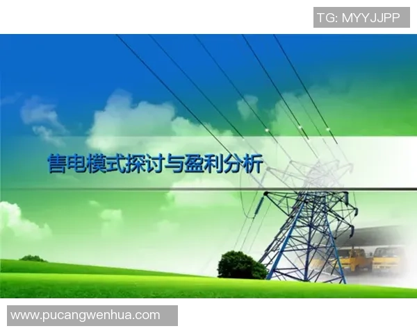 杭州排球队选拔赛技术表现分析与提升建议探讨