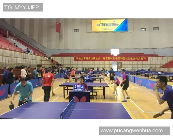 武汉乒乓球队在城市联赛中的比赛经验与表现分析